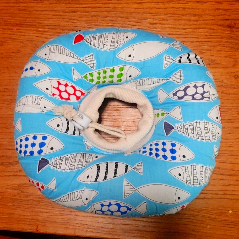 Kitty cat recovery collar.